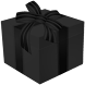 Gift Pony Upgrade License Key icon