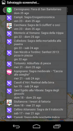 villages and festivals poster 7