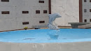 The Dolphin Fountain