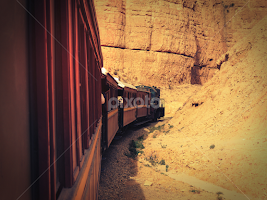 Red Lizard Train by Mohamed Mehrez -  