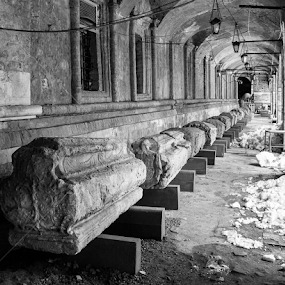 by Vladimir Firsov - Black & White Buildings & Architecture