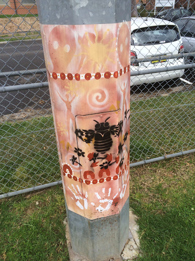 James Park Aboriginal Bee Art