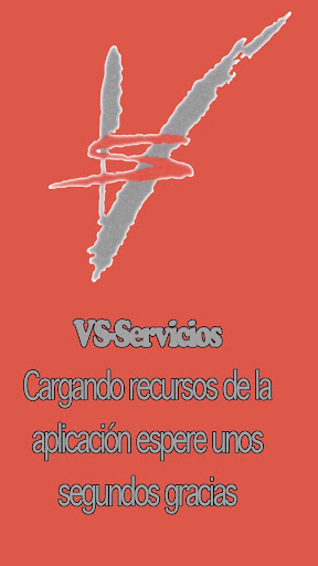 VS Servicios Empresariales