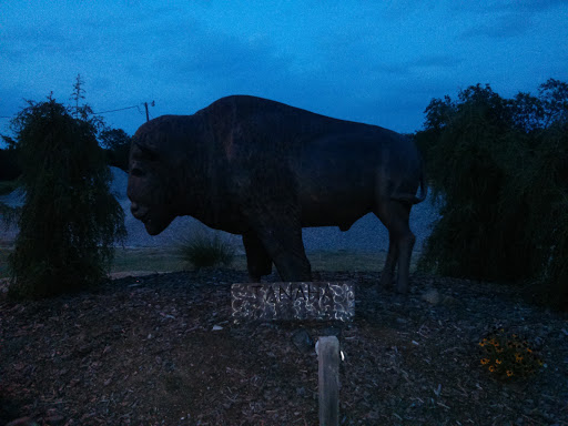 Tanaha Buffalo Sculpture