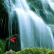 Beautiful Waterfall