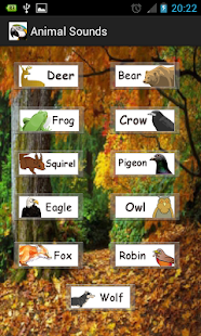Download Animal Sounds APK for Android