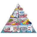Calories fats proteins carbs logo