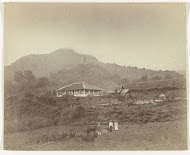 Gezicht van Djoengo (Koffu land) / Ardjoengebergte