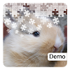 Bunny Jigsaw Puzzles Demo