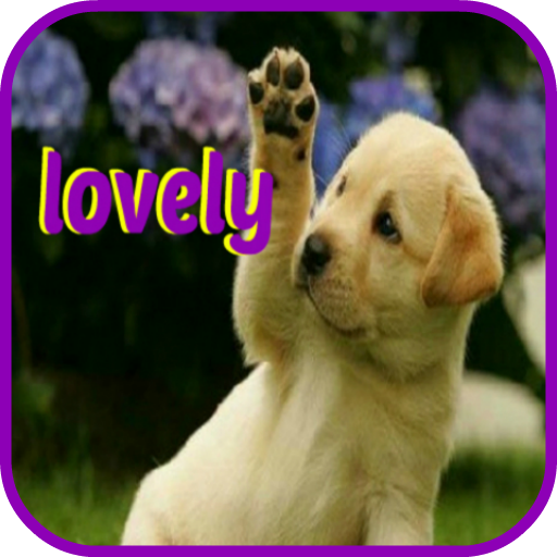 lovely puppies LOGO-APP點子