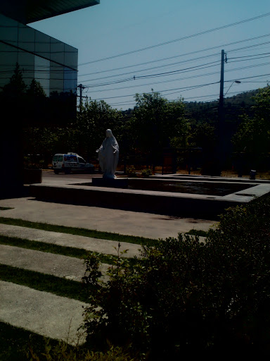 Estatua Virgen