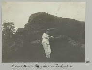 G. van Dien Jr. bij gekapten kankantrie