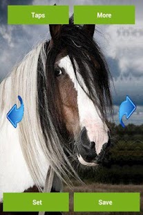 Horses Wallpapers Screenshots 2