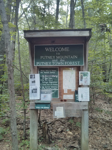 Putney Mountain Trailhead