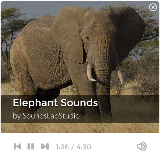 Elephant Sounds