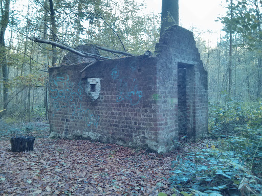 Vervallen Hut in het Plantsoenbos