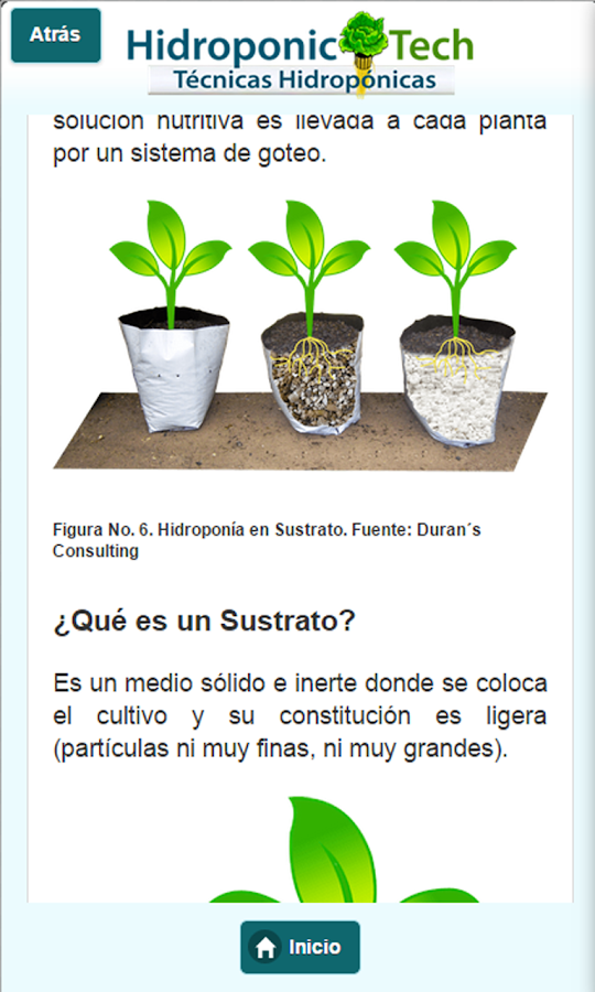 Hidroponia Monterrey Inicio Facebook