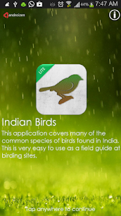 Indian Birds - Lite
