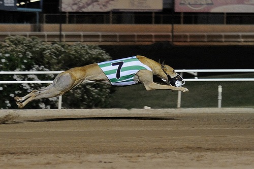 [2624809450_eb84b6ddc3[2].jpg]