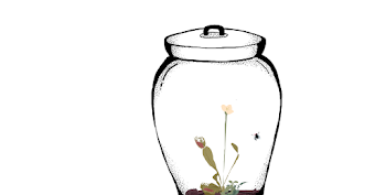 10. What's in the Jar?