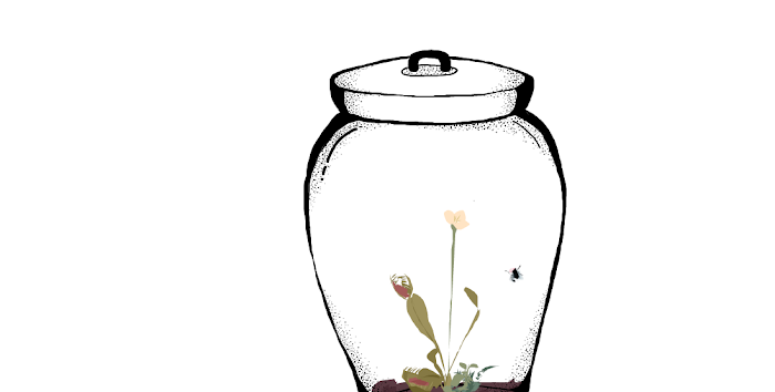 10. What's in the Jar?