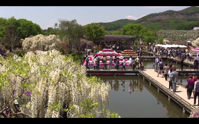 AshikagaFlowerPark(J011) Screen 3