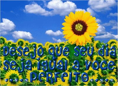 dns01.png