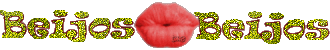 dns4.png