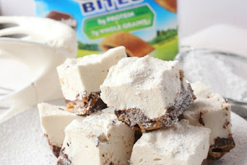 Honey Maid Go Bites Smores Bars