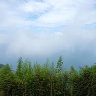 山上人家森林農場