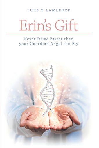 Erin's Gift cover
