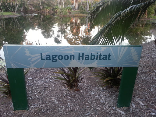Lagoon Habitat