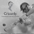 Criconly Cricket Scores & News mobile app icon