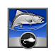 Fish On!