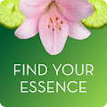 Find Your Essence by MANE Apk