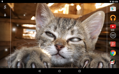 Angry Cat Live Wallpaper Screenshots 6