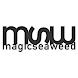 MSW Surf Forecast