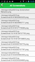 Capture Screenshot poster 7