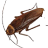 Halloween Roach Hotel logo