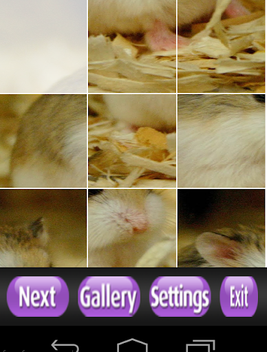 【免費解謎App】Hamster Puzzle Games-APP點子