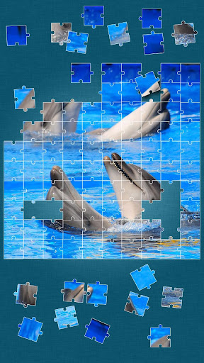 【免費解謎App】Dolphins Jigsaw Puzzle-APP點子