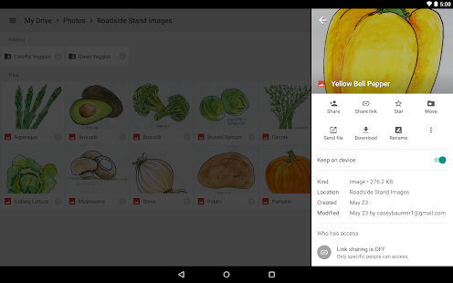 Google Drive - screenshot thumbnail