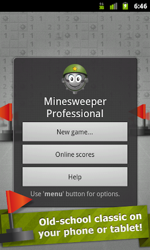 Minesweeper Professional