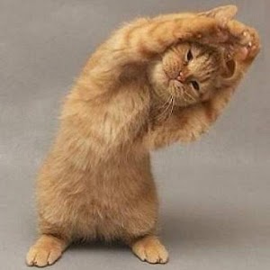 Good Morning Card 1.5