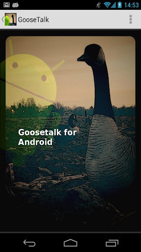 Goose Talk