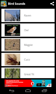 How to mod Bird Sounds - Free songs 1.0.0 unlimited apk for laptop