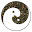 Tai Chi Card Download on Windows
