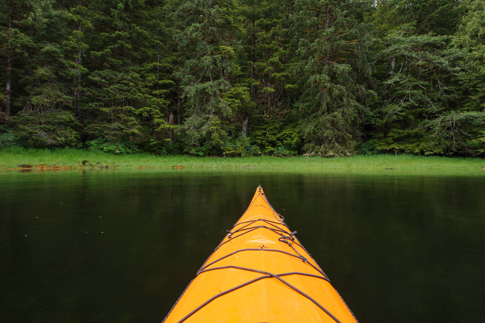 Kayaking Punchbowl Cove, Misty Fiords National Monument, Alaska