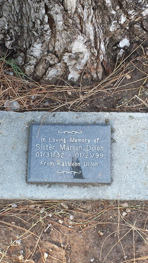 Sister Marion Dillon Memorial