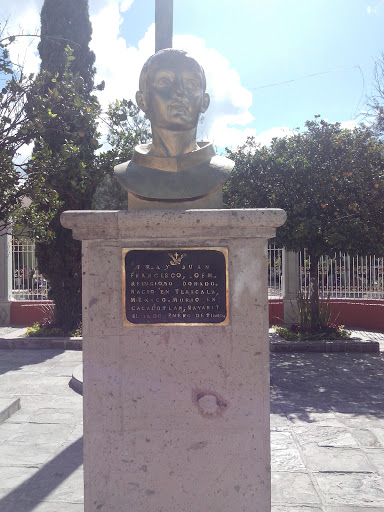 Busto De Fray Juan Francisco